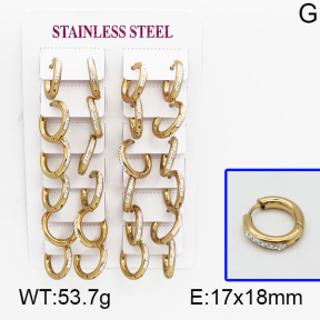 SS Earrings  5E4000473ajjm-450