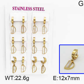 SS Earrings  5E4000480vhpi-450