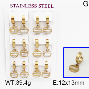 SS Earrings  5E4000493vhpi-450