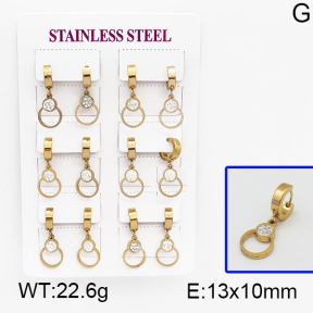 SS Earrings  5E4000505vhpi-450