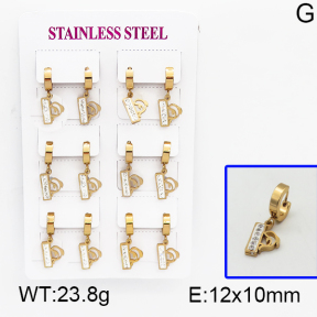 SS Earrings  5E4000511vhpi-450