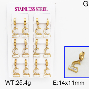SS Earrings  5E4000515vhpi-450