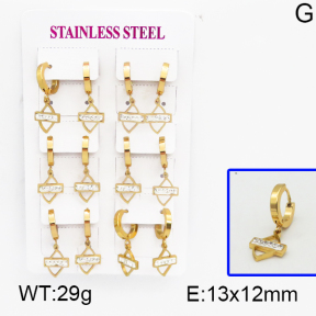 SS Earrings  5E4000523vhpi-450