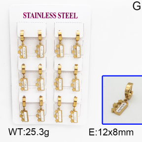 SS Earrings  5E4000545vhpi-450