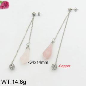 Fashion Copper Earrings  F2E400043vhov-J111