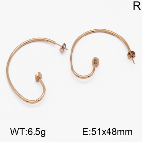 SS Earrings  5E2000488vbpb-317