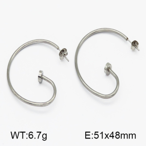 SS Earrings  5E2000489vbnb-317