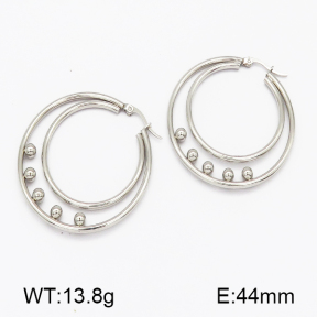 SS Earrings  5E2000490aako-703