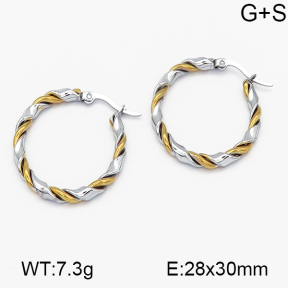 SS Earrings  5E2000492ablb-703