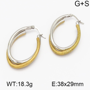 SS Earrings  5E2000495vbmb-703