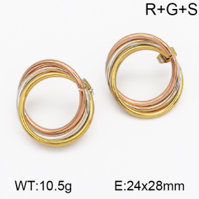 SS Earrings  5E2000496vbmb-703