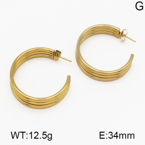 SS Earrings  5E2000499baka-703