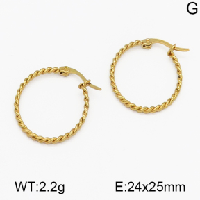SS Earrings  5E2000502aajm-703