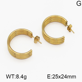 SS Earrings  5E2000504baka-703