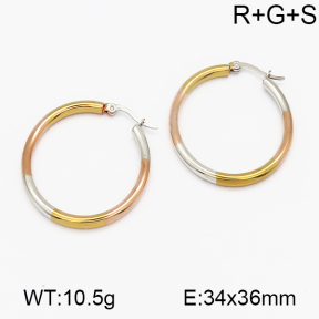 SS Earrings  5E2000505vajj-703