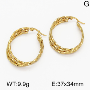 SS Earrings  5E2000509aaki-703