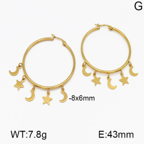 SS Earrings  5E2000510vajj-703