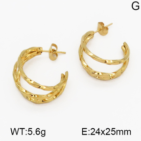 SS Earrings  5E2000511aaki-703