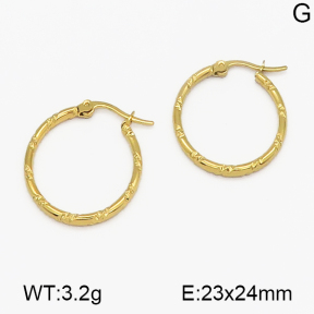 SS Earrings  5E2000512aaij-703