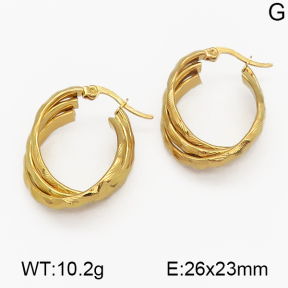 SS Earrings  5E2000513aaki-703