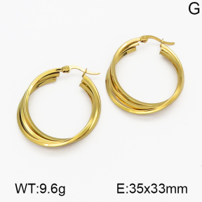 SS Earrings  5E2000515aaki-703