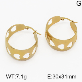 SS Earrings  5E2000523ablb-703