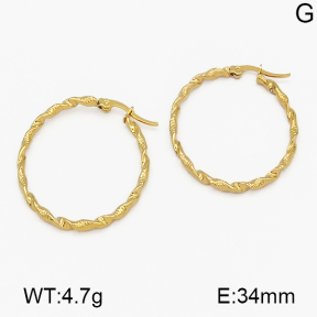 SS Earrings  5E2000524aaim-703