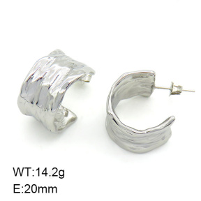 SS Earrings  7E2000001bhva-066