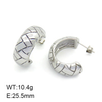 SS Earrings  7E2000002bhva-066
