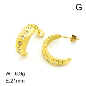 SS Earrings  7E4000003bhia-066