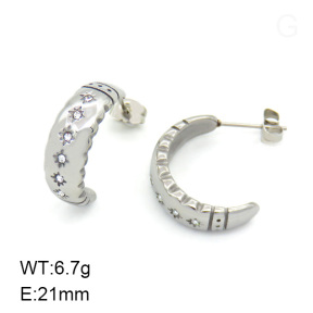 SS Earrings  7E4000004vhha-066
