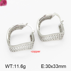 Fashion Copper Earrings  F5E200062bhva-J131