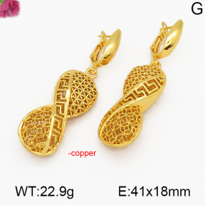 Fashion Copper Earrings  F5E200069vhha-J131