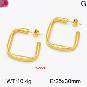 Fashion Copper Earrings  F5E200083vbnb-J131
