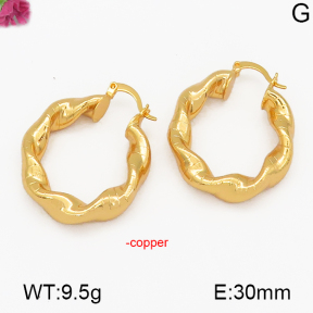 Fashion Copper Earrings  F5E200084bbov-J131
