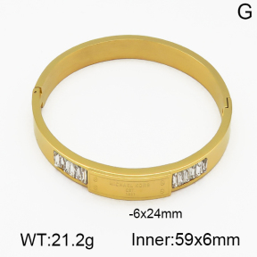 MK  Bangles  PZ0137624vihb-317