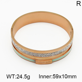 Tiffany & Co  Bangles  PZ0137630biib-317