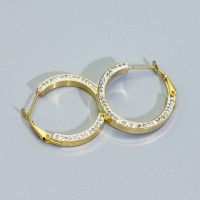 SS Earrings  GEE000045bhjp-066