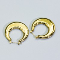SS Earrings  GEE000049bhjp-066