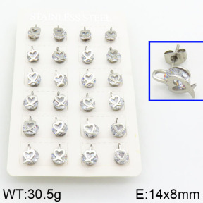 SS Earrings  2E4000136bnib-721