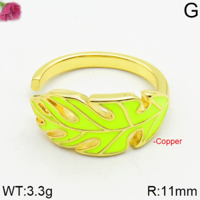 Fashion Copper Ring  F2R300242bbov-J111