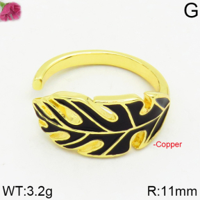 Fashion Copper Ring  F2R300245bbov-J111