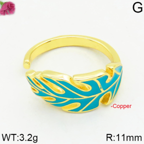 Fashion Copper Ring  F2R300246bbov-J111