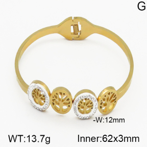 SS Bangle  5BA400186bhbl-685