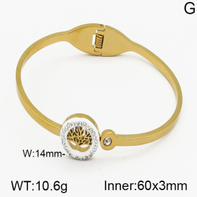 SS Bangle  5BA400212bhbl-685