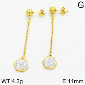 SS Earrings  2E4000173aajo-731