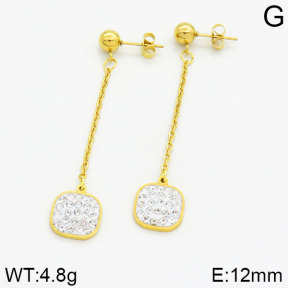 SS Earrings  2E4000182aajo-731