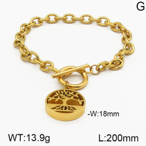 SS Bracelet  5B2000646abol-706