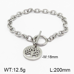 SS Bracelet  5B2000669vbnl-706