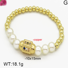 Fashion Copper Bracelet  F5B300084vbnb-L024